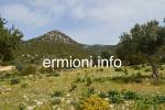 GL 0195 - 2 plots of Land 4,000m² each - Salanti - Ermionida